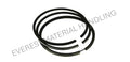 PISTON RING SET XINCHAI 495BPG STD